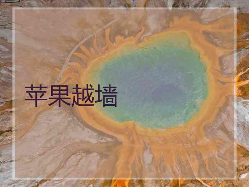 苹果越墙