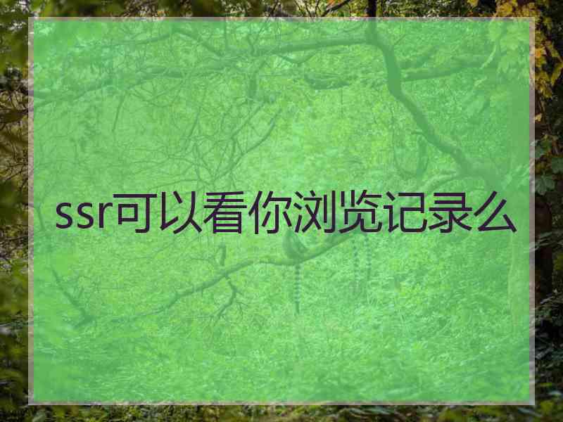 ssr可以看你浏览记录么